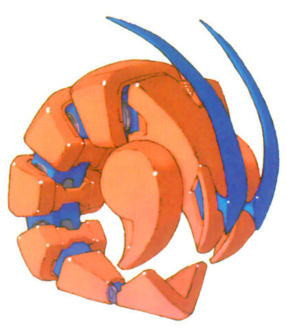 File:Sand shrimpolin.jpg