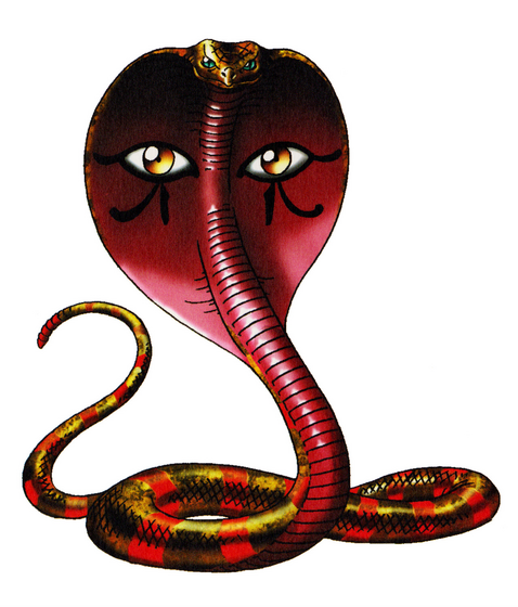 File:Asp.png