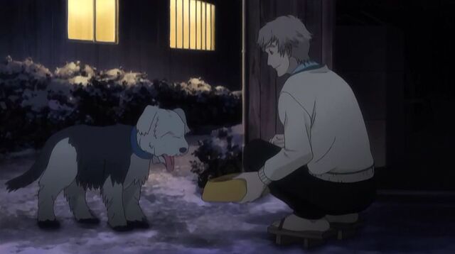File:Inui Dog.jpg