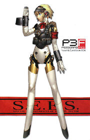 P3 FES Alternative Heart