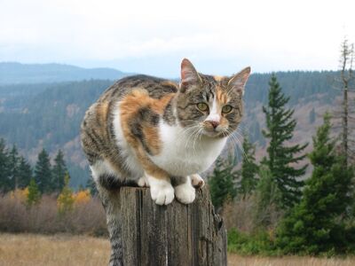 Himmelblick