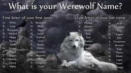 Tumblr mkr8308HnS1qfn24uo1 500