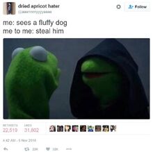 491