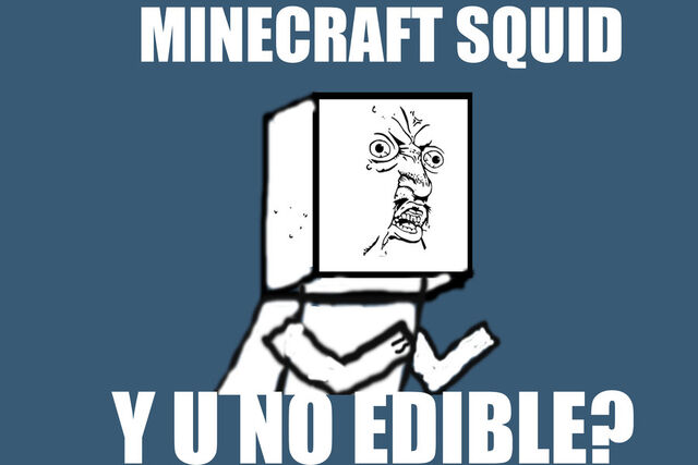 File:Y u no 6.jpg