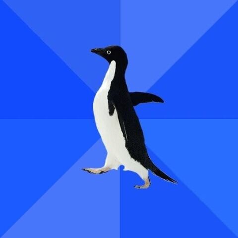 File:Awkwardpenguin.jpg