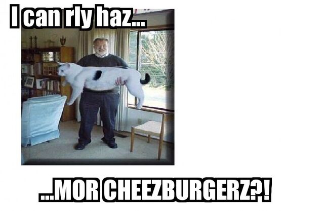 File:Mah 1st real lolcatz.jpg