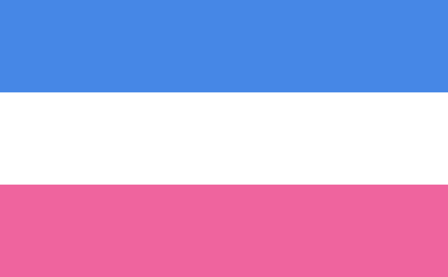 Archivo:Bandera heterosexual.png