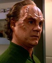 Phlox