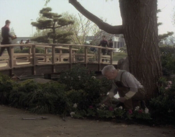 File:Boothby planting.jpg