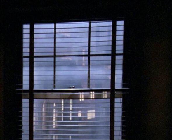 File:Blinds.jpg