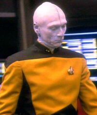 Stephendavies.jpg