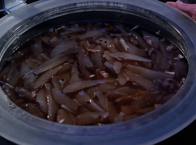 File:Vermicula.jpg
