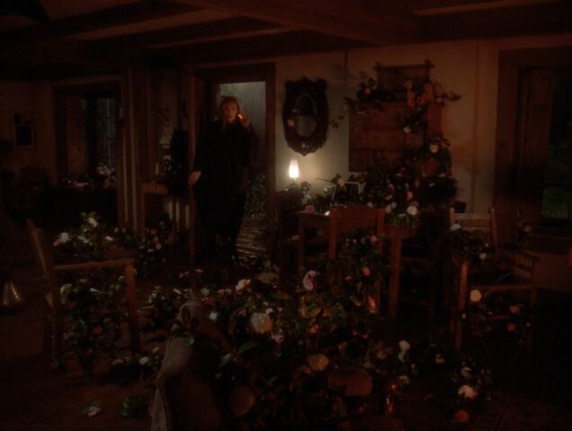 File:Camellias.jpg