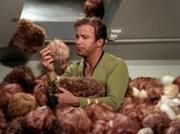 180px-Kirk surrounded by Tribbles.jpg