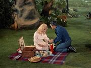 Picknick.jpg