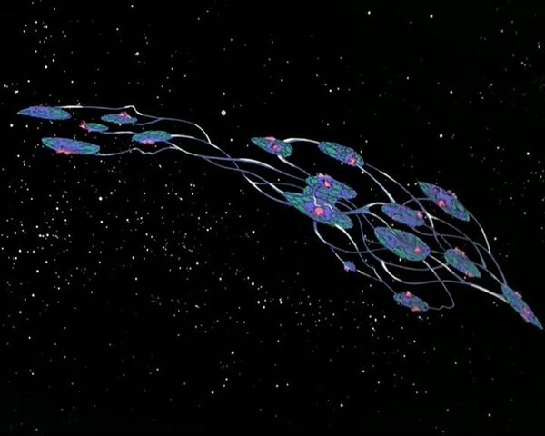 Plik:Insectoid-ship-000 TAS S01E01 - Beyond the Farthest Star.jpg