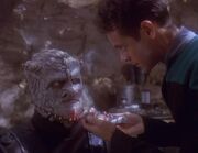 Bashir und Goran'Agar.jpg