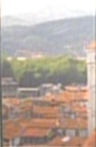 Florence.jpg