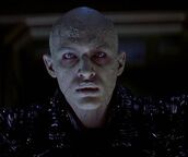 Shinzon deteriorates