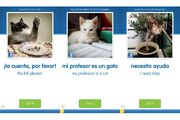 Cat1 3