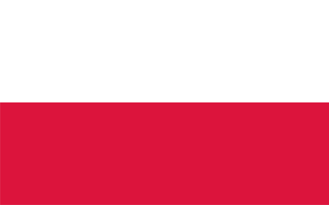 Файл:Flagpolshie.png