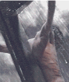 Crucifix.gif