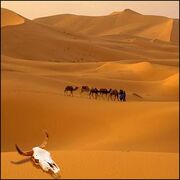 Deserto.jpg