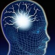 Cerebro