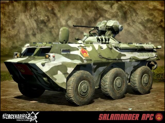 File:Salamander.jpg