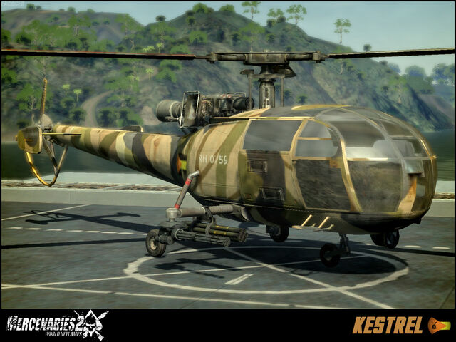File:Kestrel.jpg