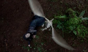MOrgana Aithusa.png