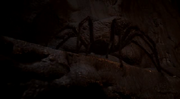 Vlcsnap-2012-03-10-13h01m08s151