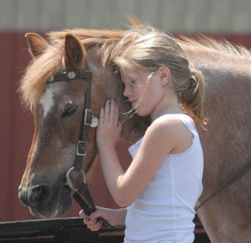 File:Girl hugging horse.jpg