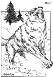 Wolf
