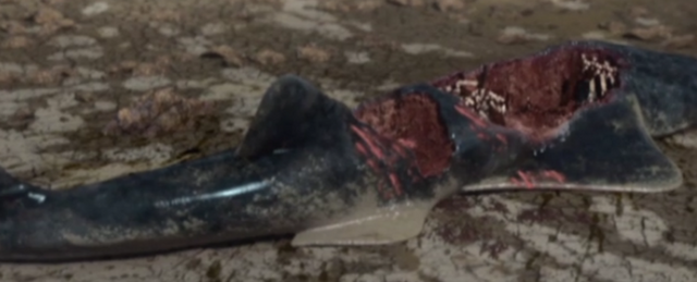 File:1000px-Onchopristis killed.png