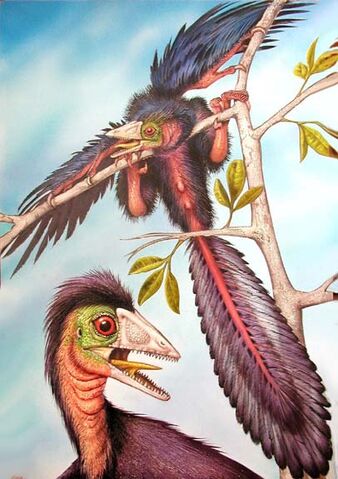 File:Archaeopteryx-Luis-Rey.jpg