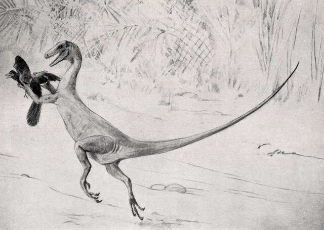 File:Ornitholestes-Charles-R -Knight.jpg