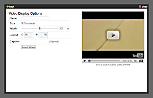 File:VideoEmbedTool.png