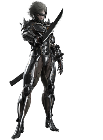 File:Character 01raiden.png