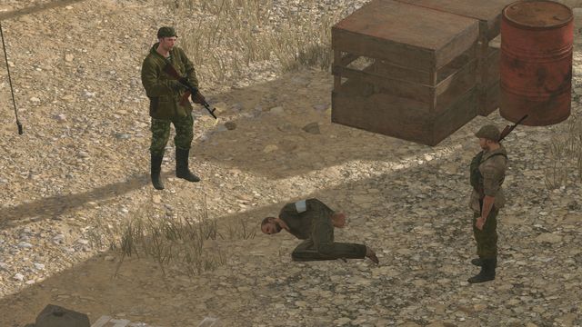 File:VID PashtoInterp TPP.png