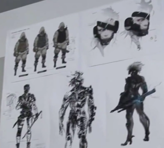 File:RaidenRisingDesign.png
