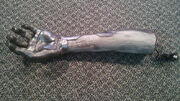 Arm0426-610