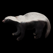 Badger 387c56e032d0a