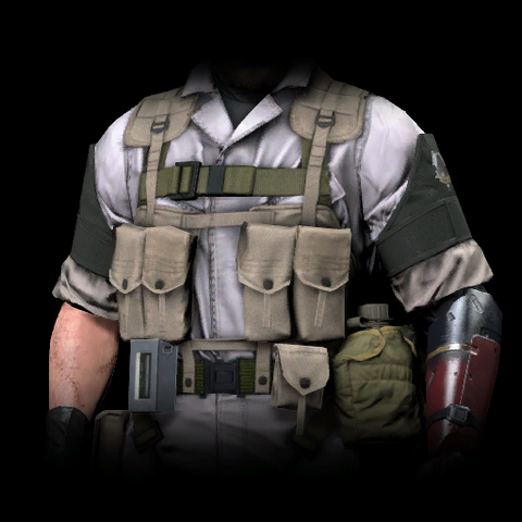 File:QZommTS.png