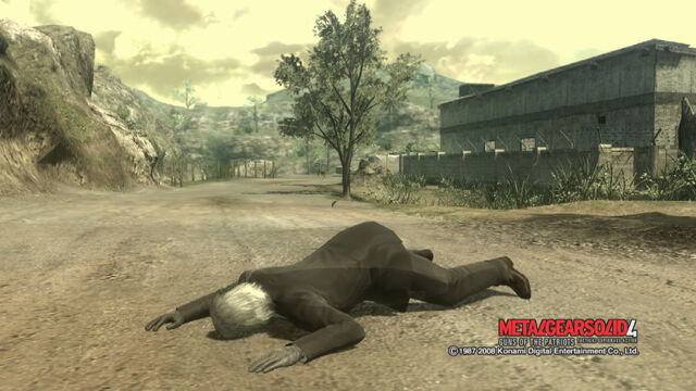 File:Raiden Hump.jpg