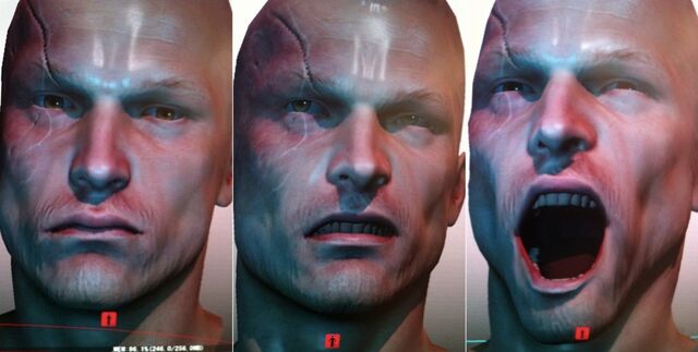File:Facialmessage.jpg