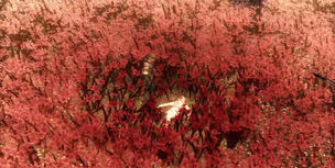 MGS3BossvsBoss.jpg