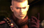 Young ocelot.jpg