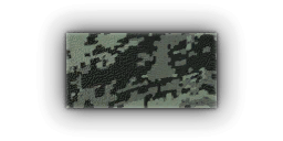 File:RgLzr1Z.png