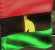 MGR flag